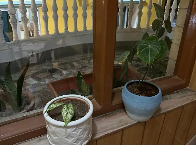Boudha Dungkar Katmandú